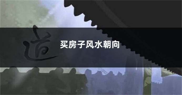 买房子风水朝向