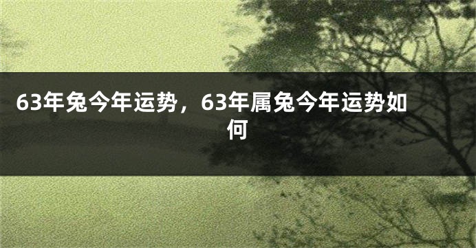 63年兔今年运势，63年属兔今年运势如何