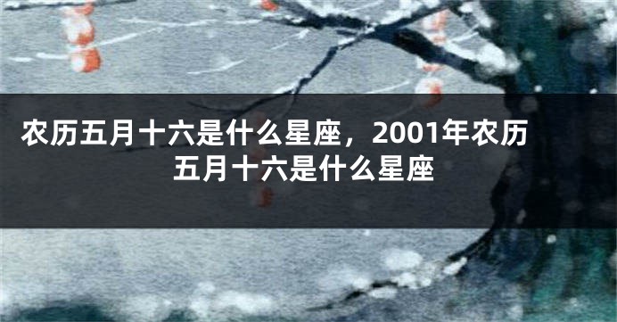 农历五月十六是什么星座，2001年农历五月十六是什么星座