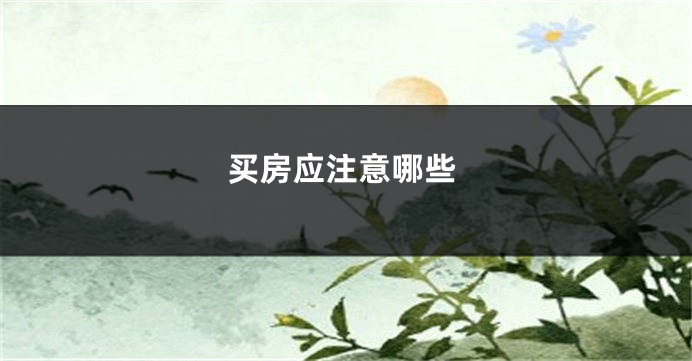 买房应注意哪些