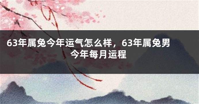 63年属兔今年运气怎么样，63年属兔男今年每月运程
