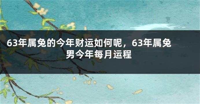 63年属兔的今年财运如何呢，63年属兔男今年每月运程