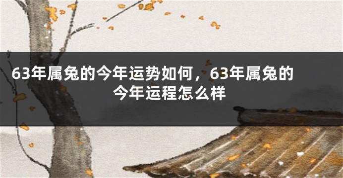 63年属兔的今年运势如何，63年属兔的今年运程怎么样