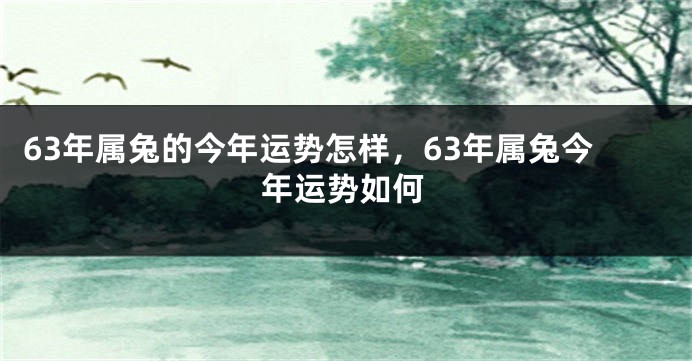 63年属兔的今年运势怎样，63年属兔今年运势如何