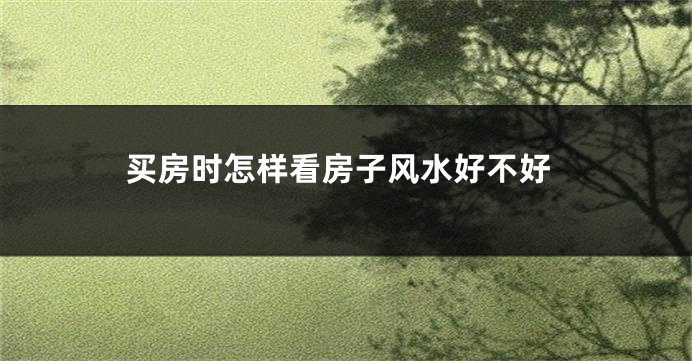 买房时怎样看房子风水好不好