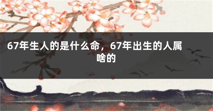 67年生人的是什么命，67年出生的人属啥的