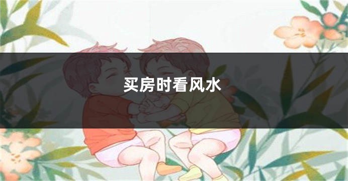 买房时看风水