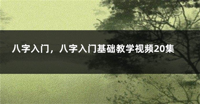 八字入门，八字入门基础教学视频20集