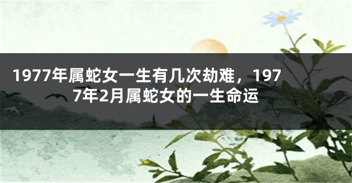 1977年属蛇女一生有几次劫难，1977年2月属蛇女的一生命运