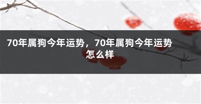 70年属狗今年运势，70年属狗今年运势怎么样