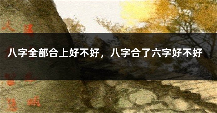 八字全部合上好不好，八字合了六字好不好
