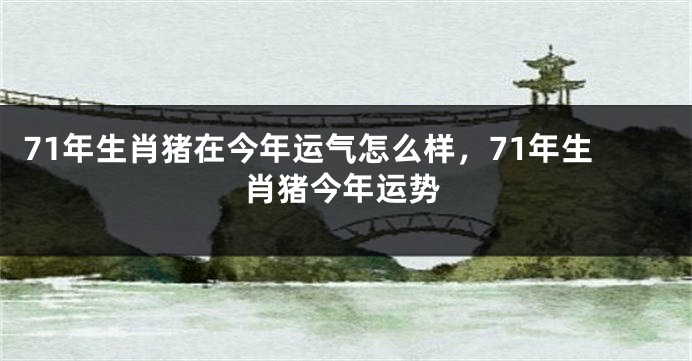 71年生肖猪在今年运气怎么样，71年生肖猪今年运势