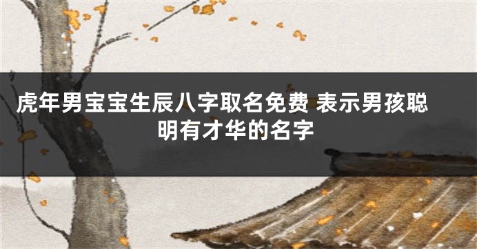 虎年男宝宝生辰八字取名免费 表示男孩聪明有才华的名字