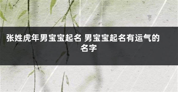 张姓虎年男宝宝起名 男宝宝起名有运气的名字