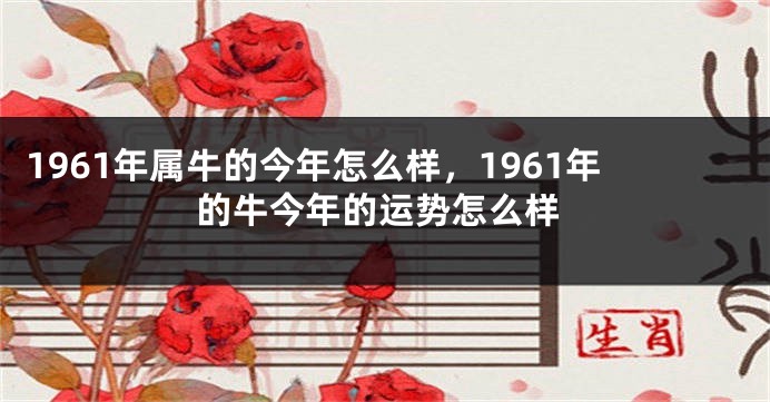 1961年属牛的今年怎么样，1961年的牛今年的运势怎么样