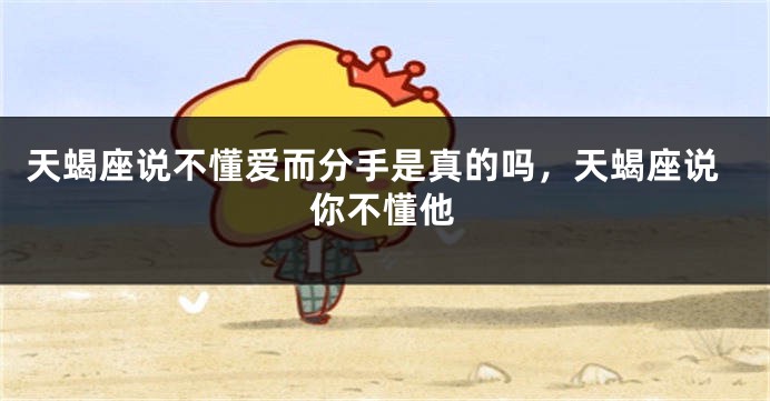天蝎座说不懂爱而分手是真的吗，天蝎座说你不懂他
