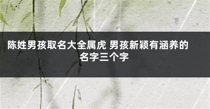 陈姓男孩取名大全属虎 男孩新颖有涵养的名字三个字