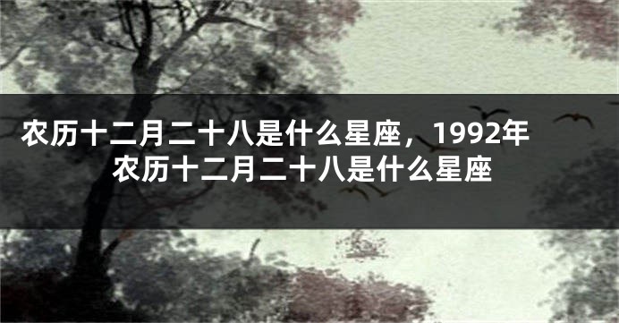 农历十二月二十八是什么星座，1992年农历十二月二十八是什么星座