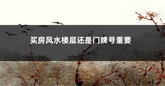 买房风水楼层还是门牌号重要