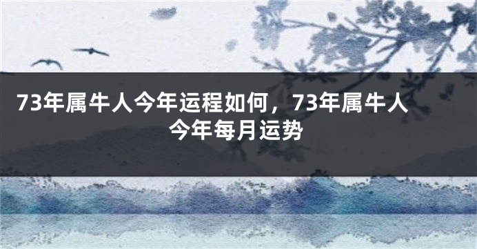 73年属牛人今年运程如何，73年属牛人今年每月运势