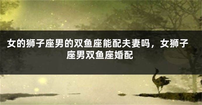 女的狮子座男的双鱼座能配夫妻吗，女狮子座男双鱼座婚配