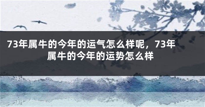73年属牛的今年的运气怎么样呢，73年属牛的今年的运势怎么样