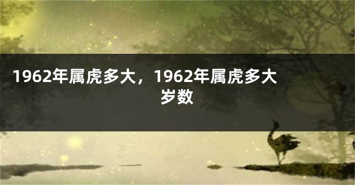 1962年属虎多大，1962年属虎多大岁数