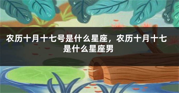农历十月十七号是什么星座，农历十月十七是什么星座男