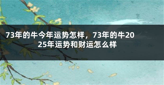 73年的牛今年运势怎样，73年的牛2025年运势和财运怎么样