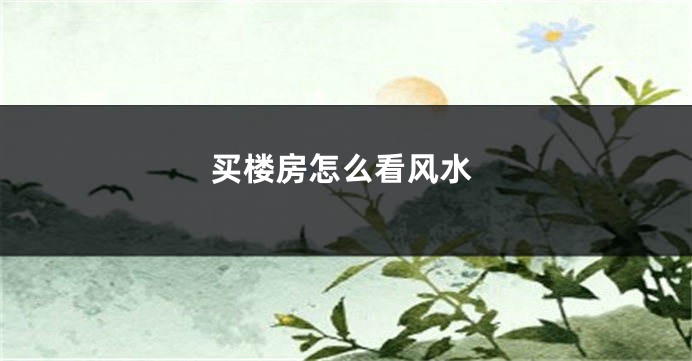 买楼房怎么看风水