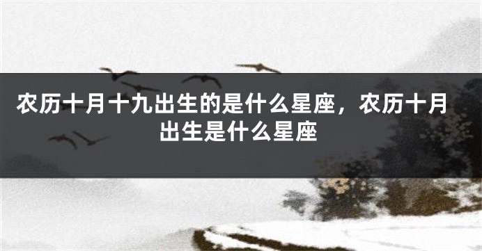 农历十月十九出生的是什么星座，农历十月出生是什么星座