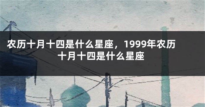 农历十月十四是什么星座，1999年农历十月十四是什么星座