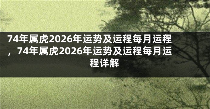 74年属虎2026年运势及运程每月运程，74年属虎2026年运势及运程每月运程详解