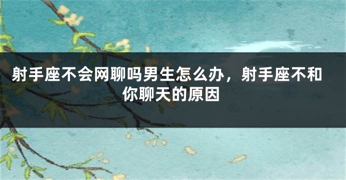 射手座不会网聊吗男生怎么办，射手座不和你聊天的原因
