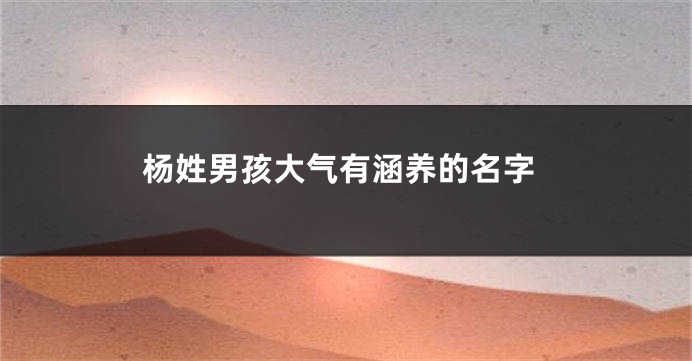 杨姓男孩大气有涵养的名字
