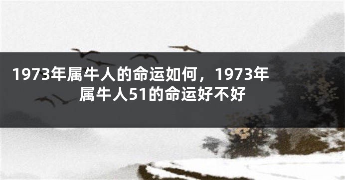 1973年属牛人的命运如何，1973年属牛人51的命运好不好