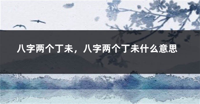 八字两个丁未,八字两个丁未什么意思