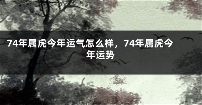 74年属虎今年运气怎么样，74年属虎今年运势