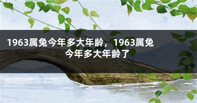 1963属兔今年多大年龄，1963属兔今年多大年龄了