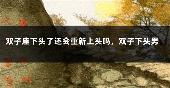 双子座下头了还会重新上头吗，双子下头男