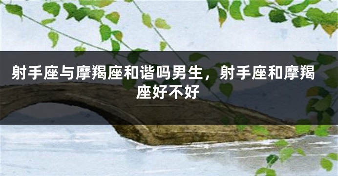 射手座与摩羯座和谐吗男生,射手座和摩羯座好不好
