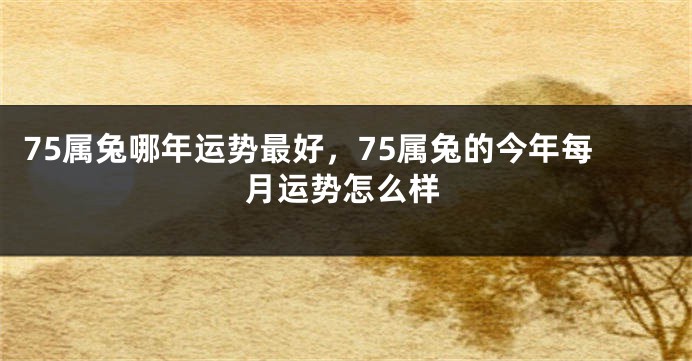 75属兔哪年运势最好,75属兔的今年每月运势怎么样