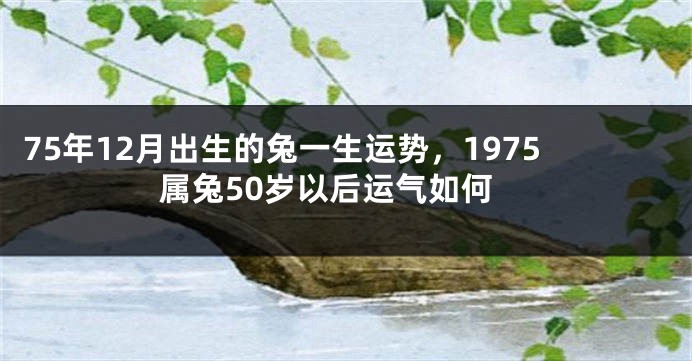 75年12月出生的兔一生运势，1975属兔50岁以后运气如何