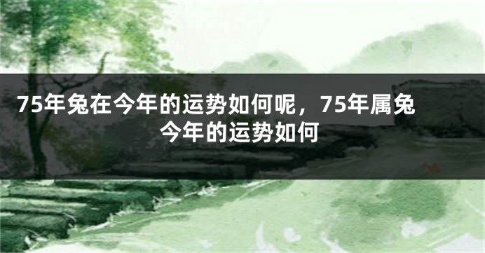 75年兔在今年的运势如何呢，75年属兔今年的运势如何