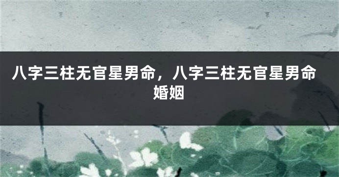 八字三柱无官星男命,八字三柱无官星男命婚姻