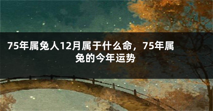 75年属兔人12月属于什么命，75年属兔的今年运势