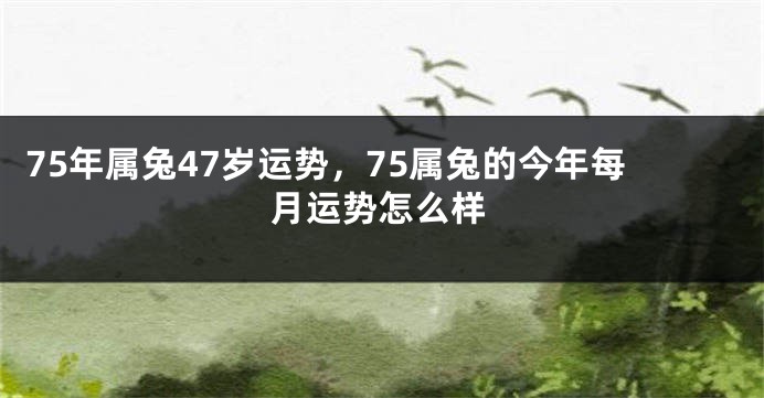 75年属兔47岁运势，75属兔的今年每月运势怎么样