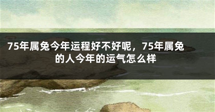 75年属兔今年运程好不好呢，75年属兔的人今年的运气怎么样