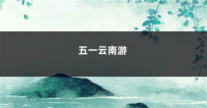 五一云南游