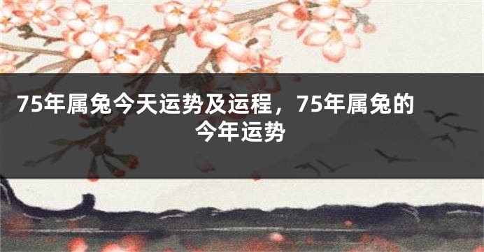75年属兔今天运势及运程,75年属兔的今年运势